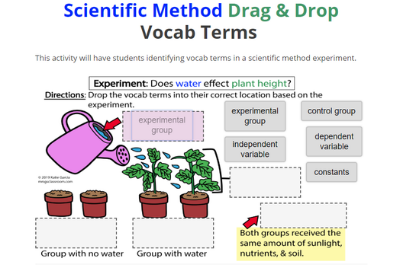 Scientific Method Drag & Drop Vocab Terms