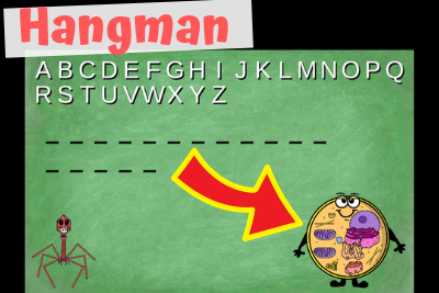 Scientific Method Hangman