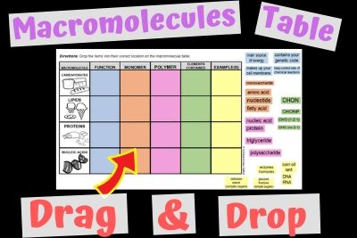 Macromolecules Table