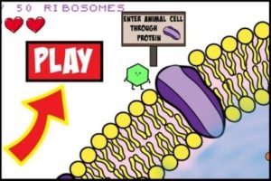 Travel Through an Animal Cell – Closer Look at Science