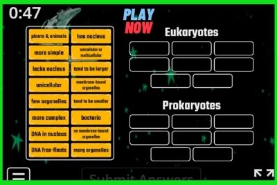 Identify Prokaryotes vs Eukaryotes Game
