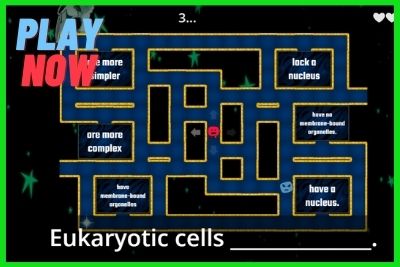 Prokaryotes vs Eukaryotes Maze Chase