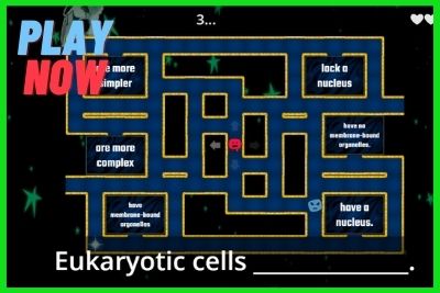 Versus Cell & Games